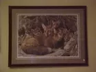 Fox Den-1989 Carl Benders Print