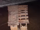 Rosewood Marimba