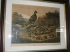 1856  Currier Lithograph