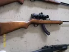 .22 Cal Auto