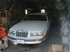 1984 Cougar