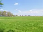 Hamilton 20.90 Acres