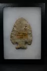 Lot#55