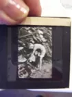 2 Lots of Many Slides