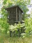 74.25 acres of hunting land