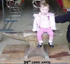 533 lb Anvil