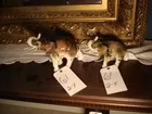 ROYAL DUX ELEPHANTS-LARGE & SMALL