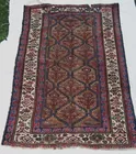  Oriental Shirvan 	