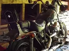 84' Harley davidson FXR