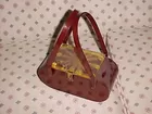 Vintage Lucite pocketbook
