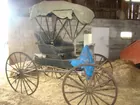 Buggy