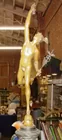 Mercury Bronze