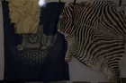 ZEBRA SKIN