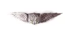  U.S. WWI AVIATOR PILOT WING - TIFFANY STERLING 