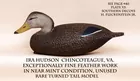 Ira Hudson Black Duck