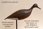 Red Knot Shorebird Taylor Johnson