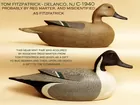 Reg Marter Pintail Pair