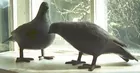 Cast Iron Birds