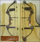 Matthews Compound Bow