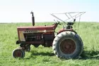 Farmall 806 diesel WF tractor * Braun & Helmer