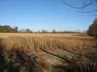 farm  Land