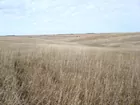 360 Acres Boone County, Nebraska Dryland & Pasture