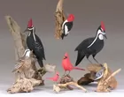 Birds by Walter Powell and James Powers