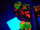 Mineral from Franklin mine