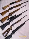 Group Of Rifles & Shotguns