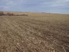 160 Acres Frontier County Farmland 