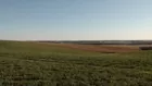 Approx. 372 Acres Antelope County Farmland
