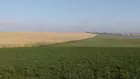 964 Acres Greeley County Farmland