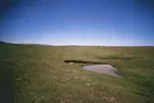 320 Acres Weld County Colorado Pasture Land