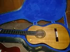 Nice Guitar