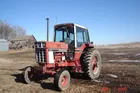 1979 International 1086 Tractor