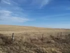 620 Acres Cheyenne County, Kansas Grassland