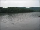 5 acres on Lake watts Bar.