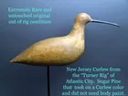Curlew Decoy C 1880