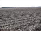 Tract #5 220 acres