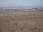 315 Acres Logan County Kansas CRP Land