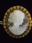 18 Kt. Cameo w/Ornate Frame