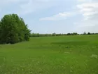 280 +/- Acres Coffey County Kansas Land