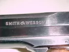S & W Target