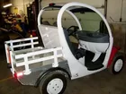 2007 Global Electric GEM