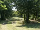110 ac Recreational Land in Central Ok