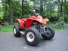 2004 Honda TRX 250, Nerf Bars