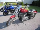 2006 Harley Davidson 1200 Sportster Cust