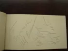 1949- 50 Album Full of NFL Football Autographs