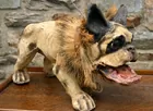 Early Paper Mache Dog on Wheels