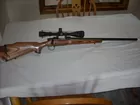Rem. Model 700.243 Bolt/Heavy Barrel